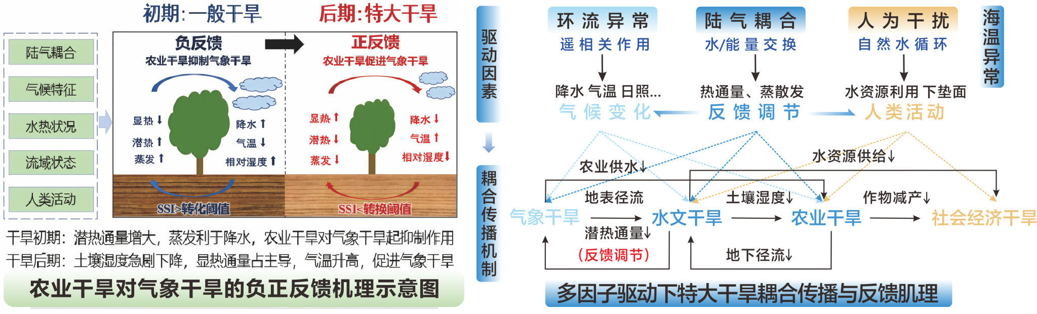 特大干旱的精准诊断与风险评估