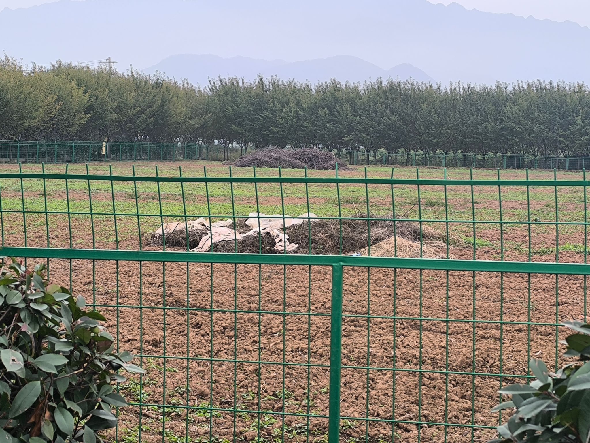 蓝田汤峪生态农业与高效用水试验站