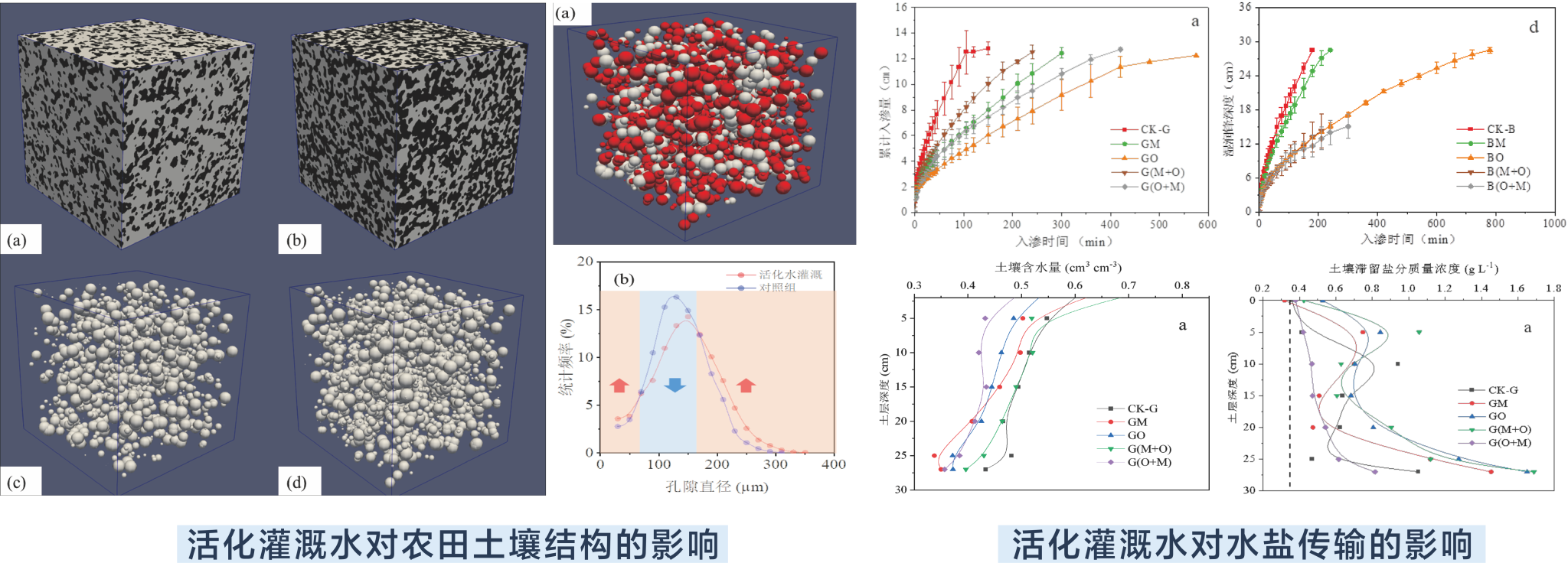 西北旱区活化水灌溉提升地力与促进作物生长机理研究